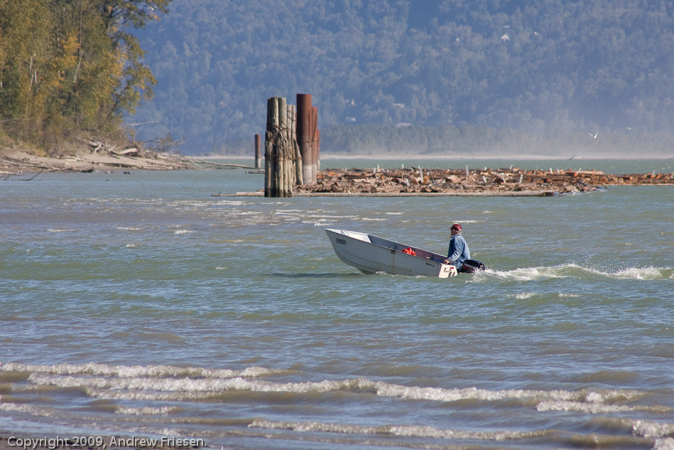 The Fraser River at Dewdney