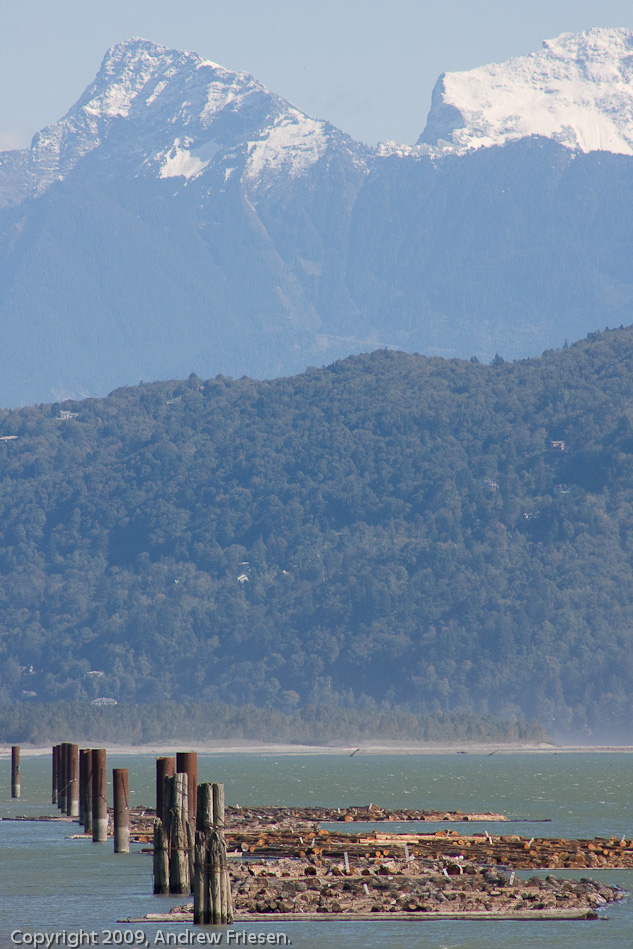 The Fraser River at Dewdney