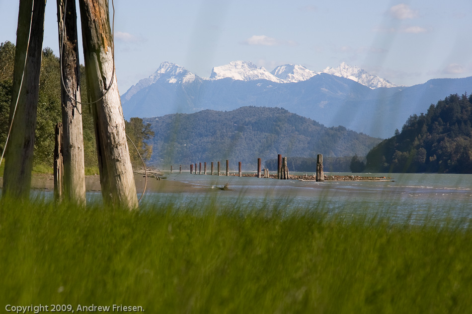 The Fraser River at Dewdney