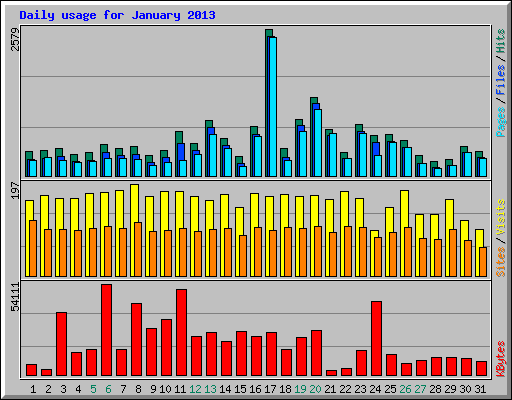 Daily usage for January 2013