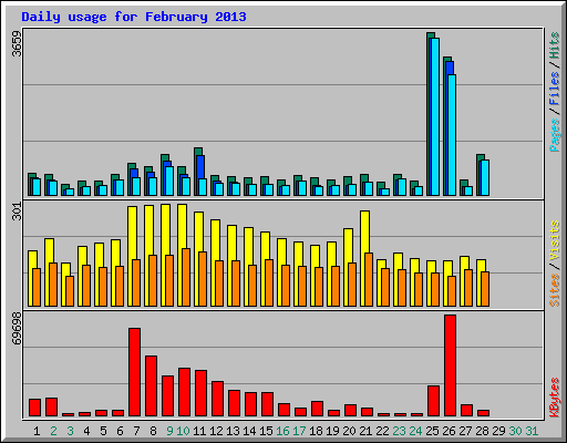 Daily usage for February 2013