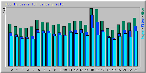 Hourly usage for January 2013
