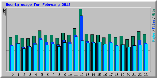 Hourly usage for February 2013